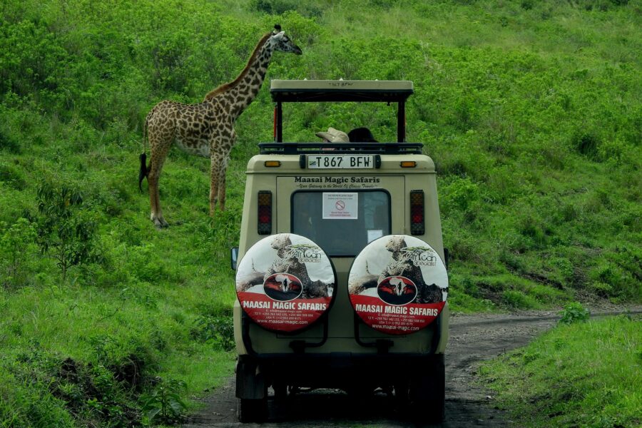 travel in Kenya