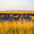 best destinations in Kenya