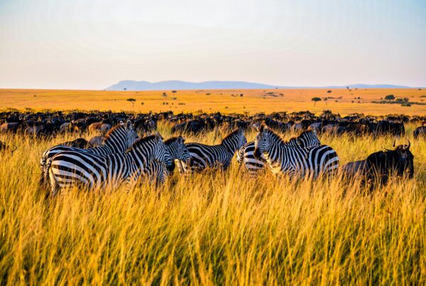 best destinations in Kenya