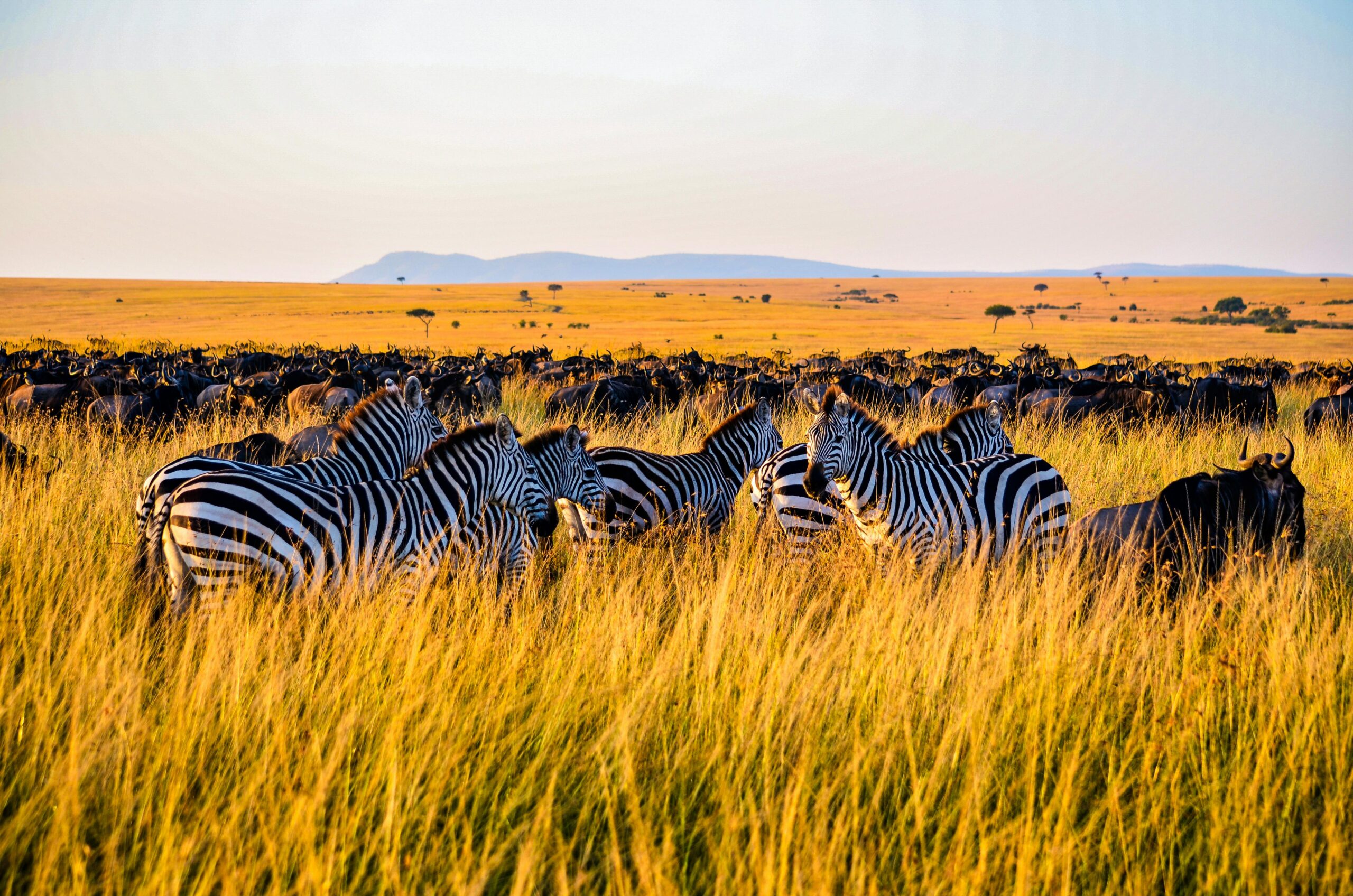 best destinations in Kenya