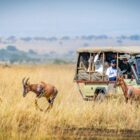 best tour companies in Kenya
