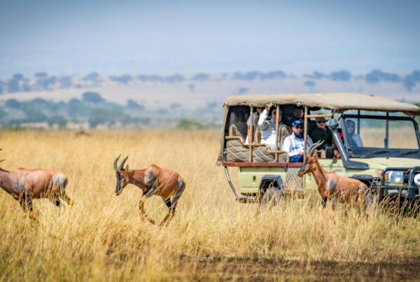 best tour companies in Kenya