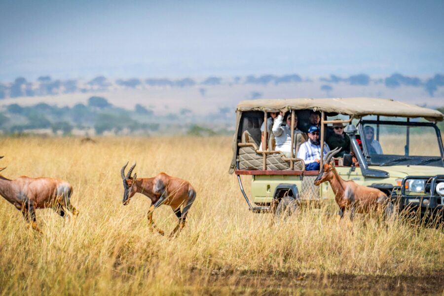 best tour companies in Kenya