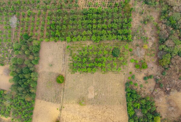 land ownership