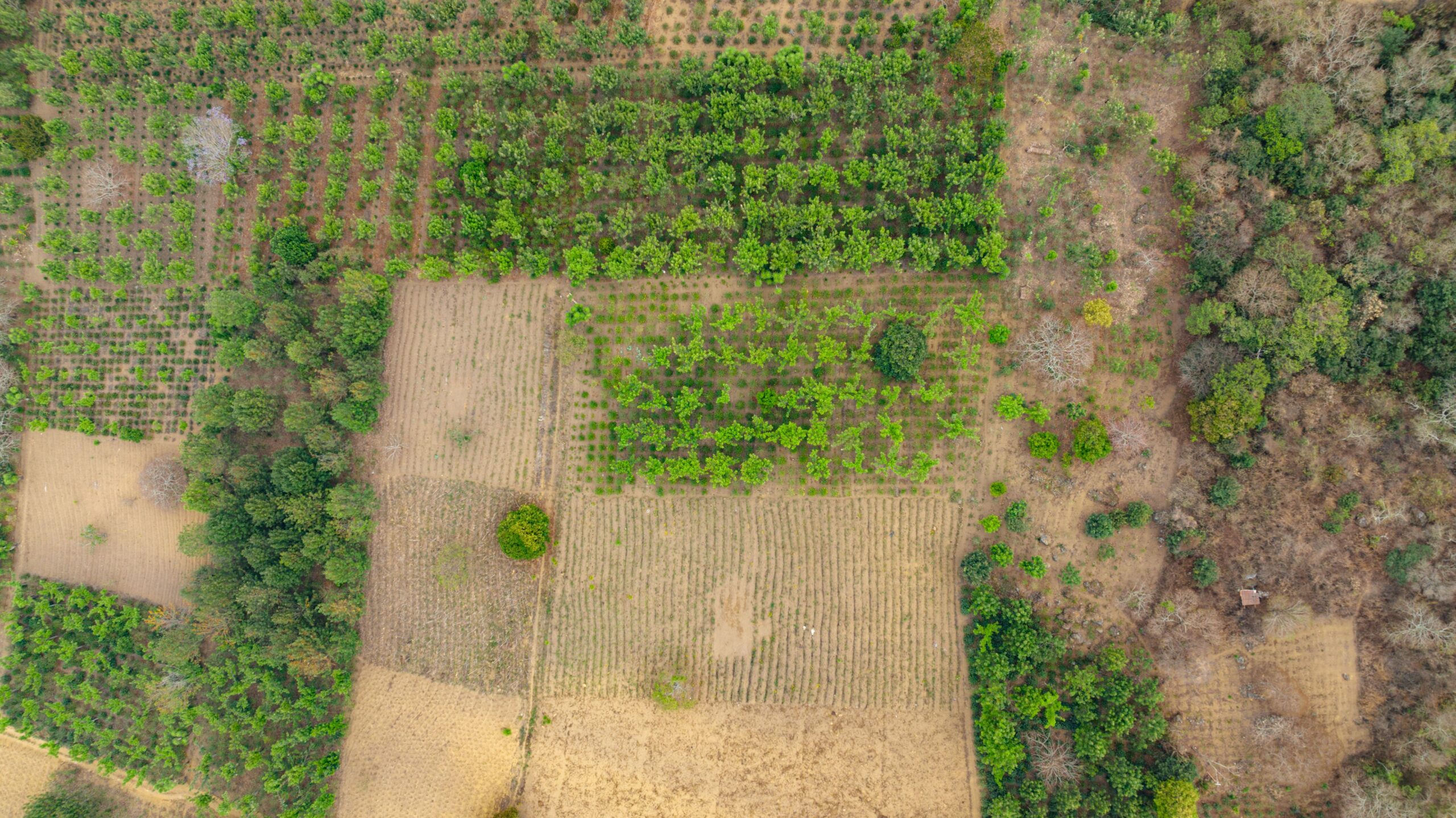 land ownership