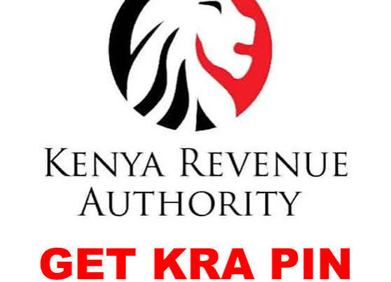 How to check KRA pin